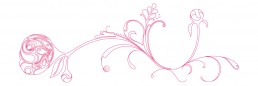 vectorised